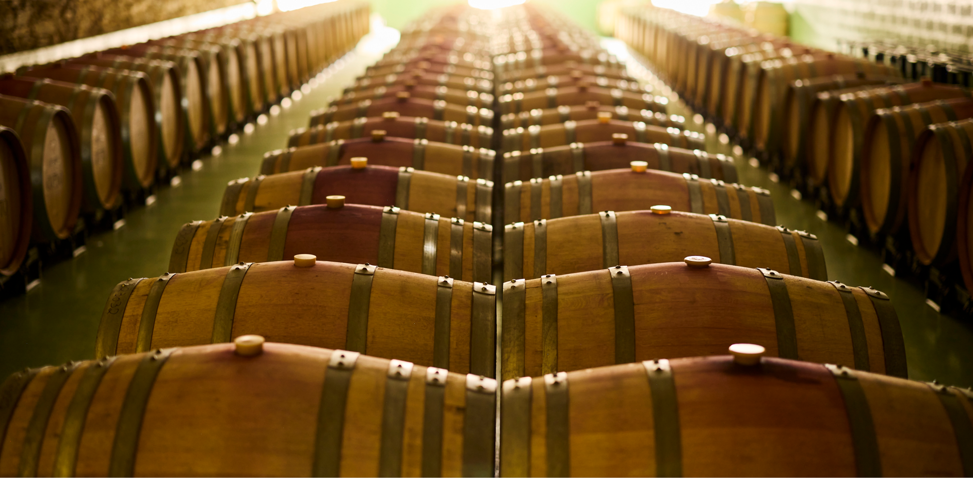 principais acessórios para os seus vinhos