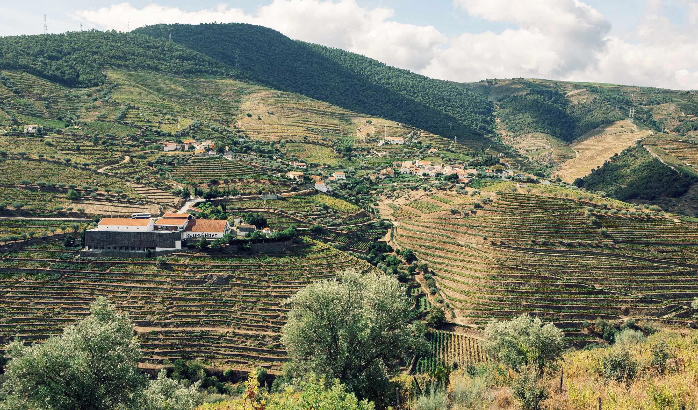 Quinta do Retiro Novo