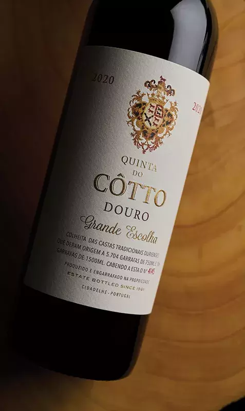 cotto grande escolha