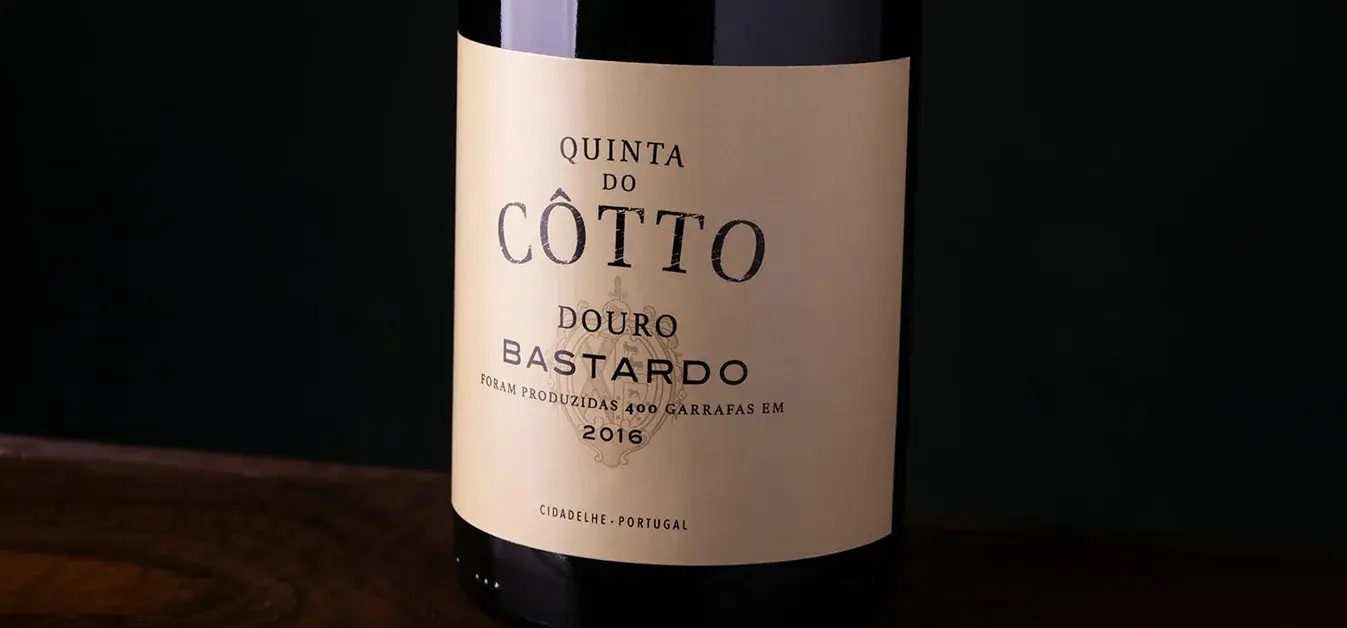 bastardo-cotto-garrafa