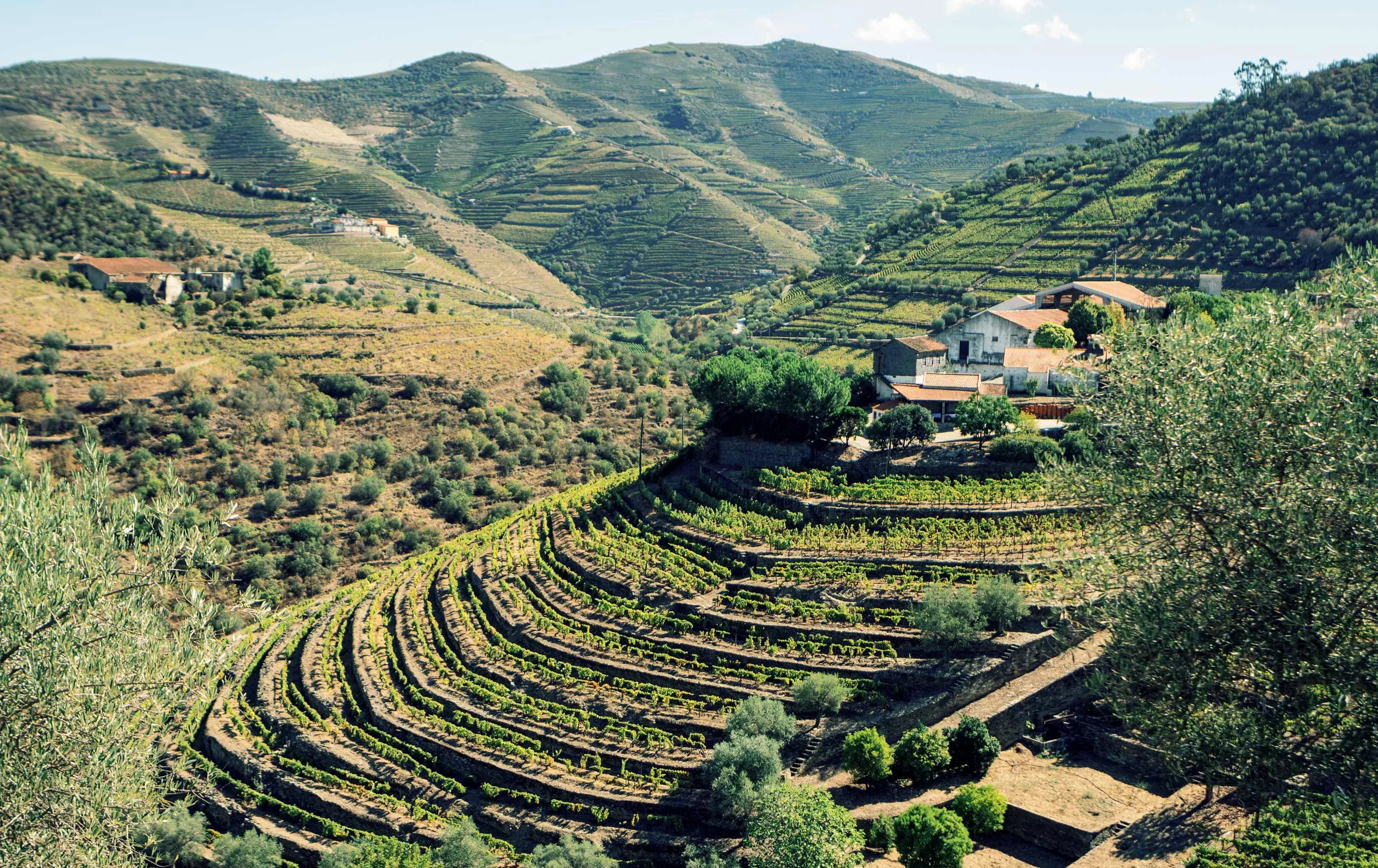 quinta do retiro novo