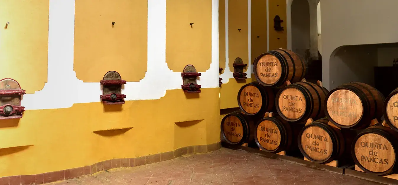 quinta-de-pancas