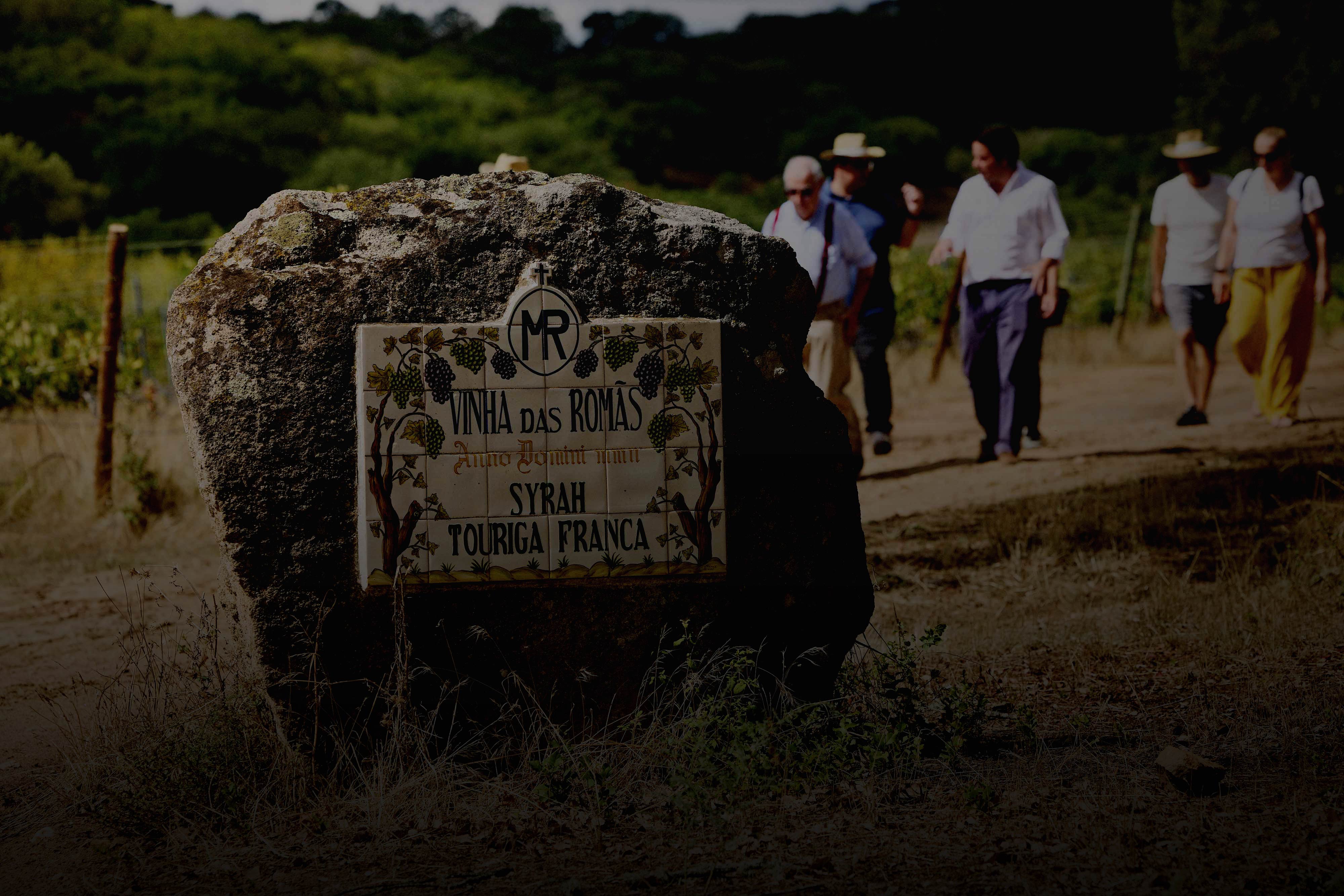 2005-timeline-aboutus