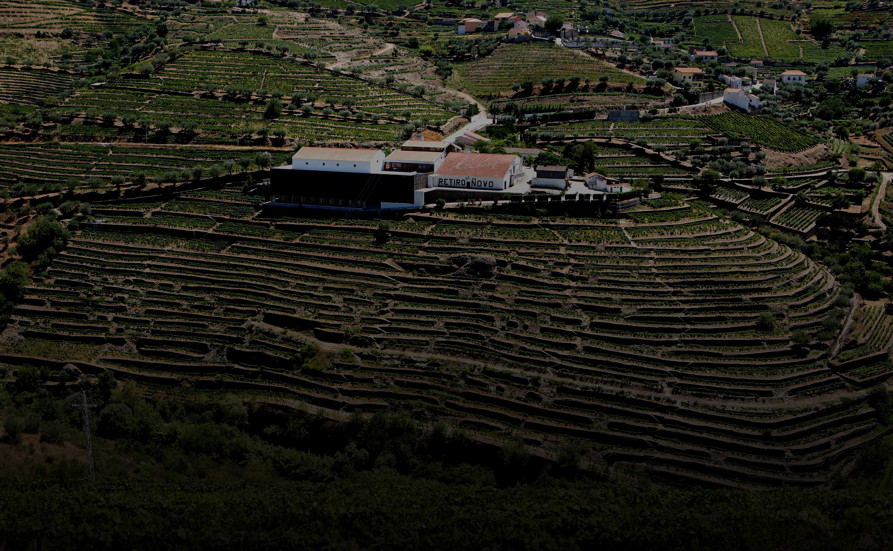 2023-timeline-aboutus