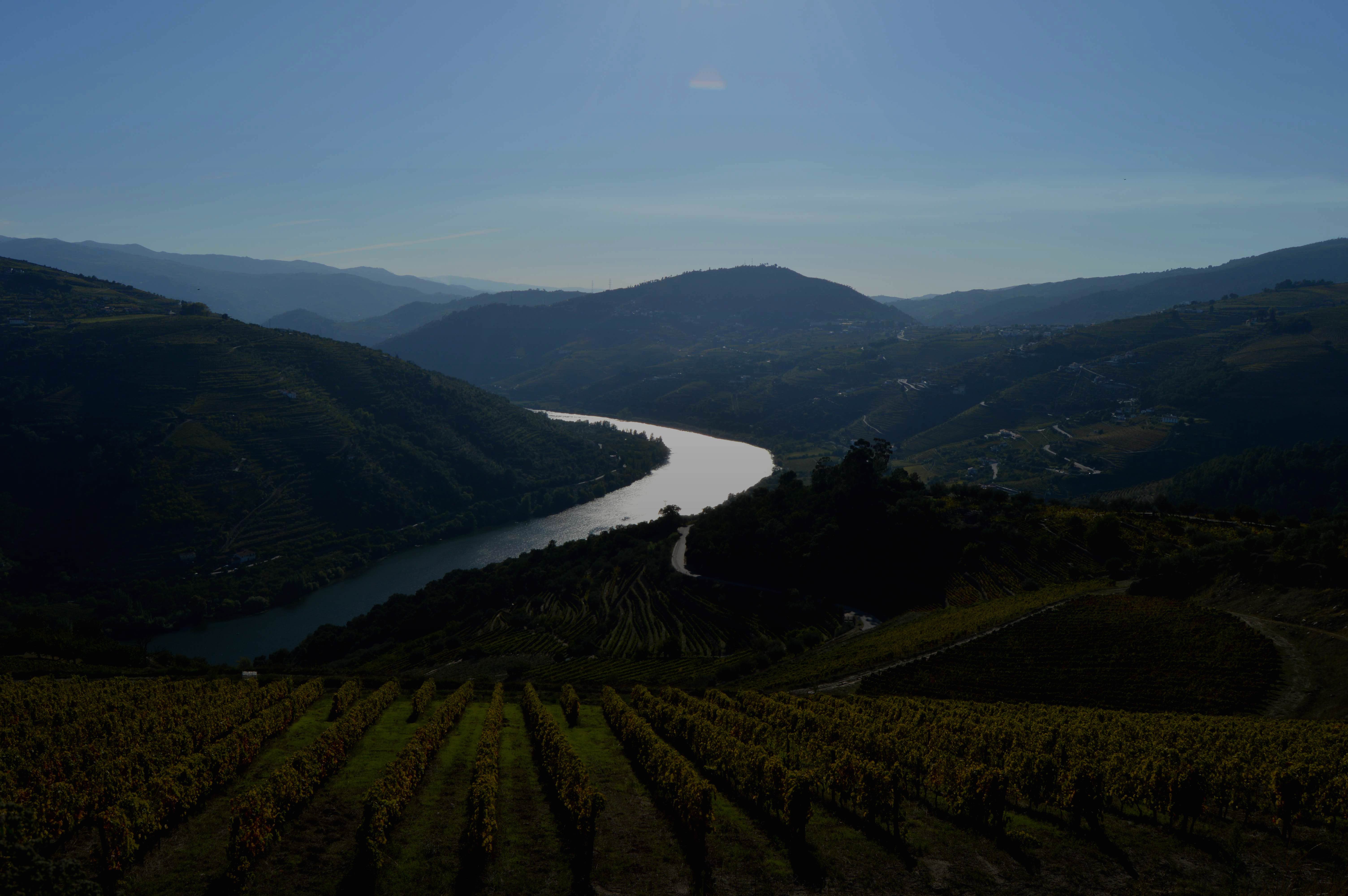 2023-timeline-aboutus