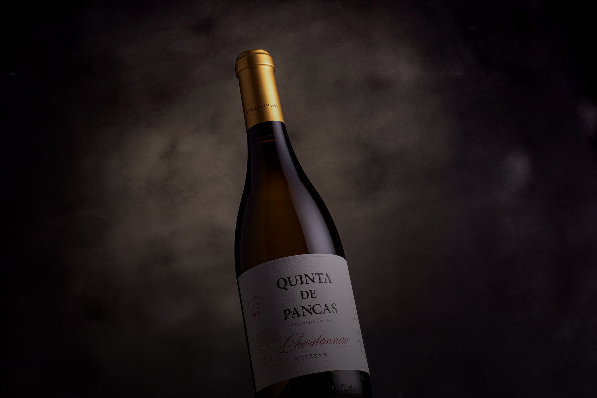 2024-timeline-aboutus